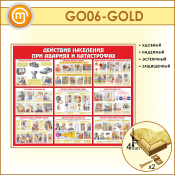        (GO-06-GOLD)